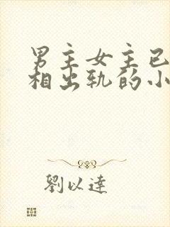 男主女主已婚互相出轨的小说