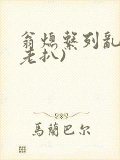翁熄系列乱 (老扒)