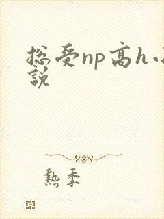 总受np高h小说封面
