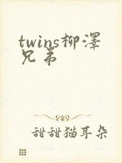 twins柳泽兄弟
