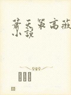 萧天策高薇薇的小说