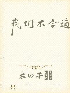 我们不合适1V1封面