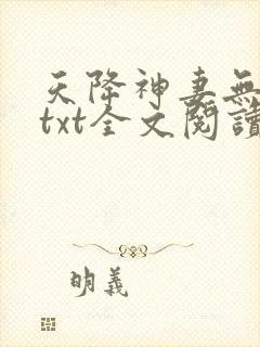 天降神妻无删减txt全文阅读下载
