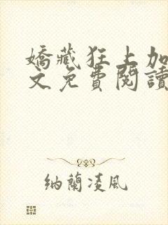 娇藏狂上加狂全文免费阅读笔趣阁