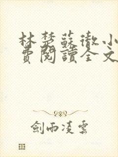 林楚苏彻小说免费阅读全文最新章节封面