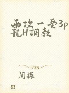 两攻一受3p双龙H调教