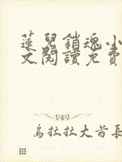 莲儿销魂小说全文阅读免费无弹窗封面