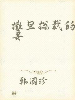 撒旦总裁的下堂妻