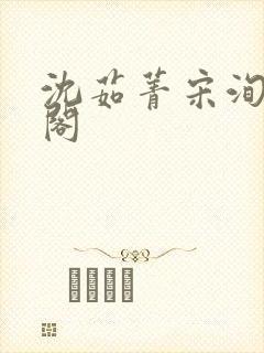 沈茹菁宋洵笔趣阁封面