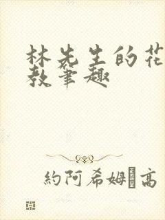 林先生的花式管教笔趣