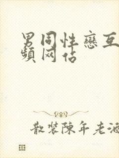 男同性恋互操视频网站