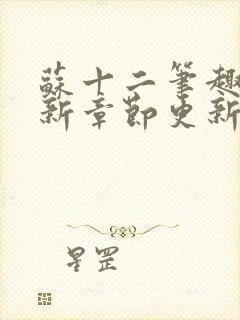 苏十二笔趣阁最新章节更新情况分享