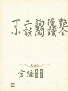 丁二狗猎艳人生小说阅读全文