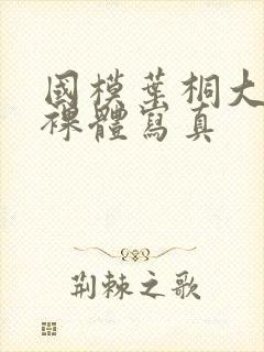 国模叶桐大尺度裸体写真