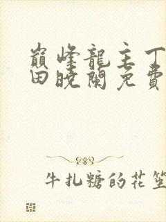 巅峰龙主丁长顺田晓兰免费阅读