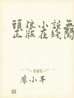 头狼小说无删减正版在线阅读