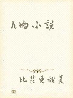 h肉小说