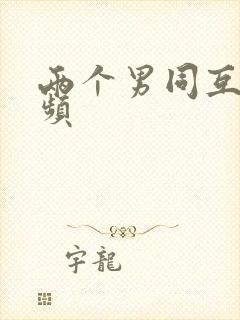 两个男同互操视频封面