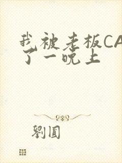 我被老板CAO了一晚上