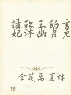 摄政王的玄灵王妃沐幽月免费阅读