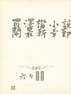 罗泽楷小说笔趣阁最新章节