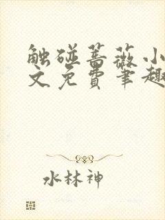 触碰蔷薇小说全文免费笔趣阁