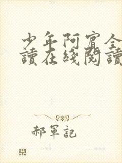 少年阿宾全文阅读在线阅读封面