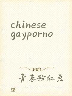 chinesegayporno
