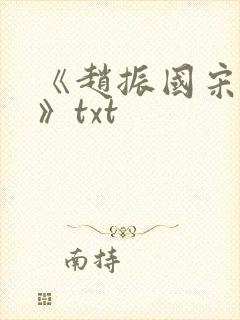 《赵振国宋婉清》txt