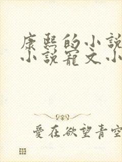 康熙的小说清穿小说宠文小说