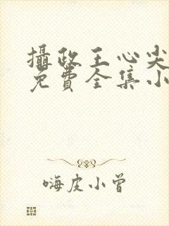 摄政王心尖宠妃免费全集小说