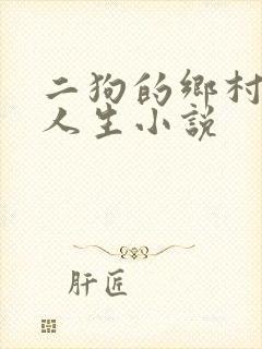 二狗的乡村猎艳人生小说封面