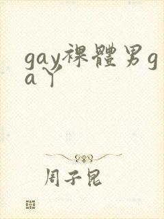 gay裸体男ga丫