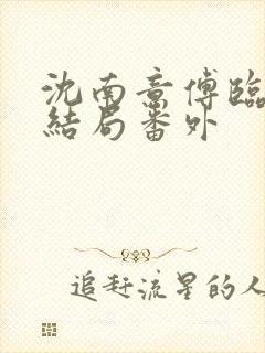 沈南意傅临洲大结局番外