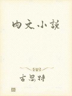 肉文小说封面