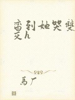 脔到她哭双根宫交h封面