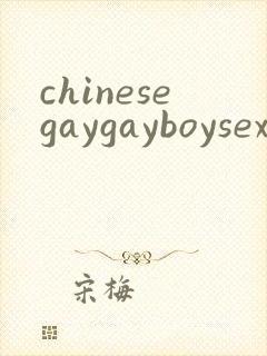 chinesegaygayboysex