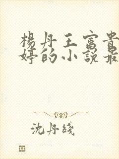 杨丹王富贵苏曼婷的小说最新章节更