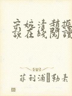 宋婉清赵振国小说在线阅读