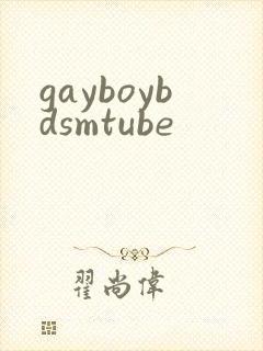 gayboybdsmtube封面