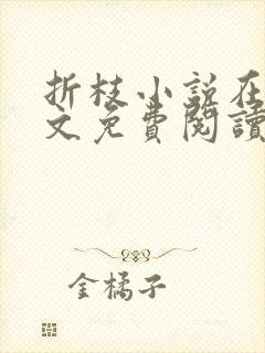 折枝小说在线全文免费阅读无弹窗