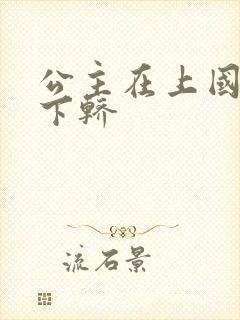 公主在上国师请下轿