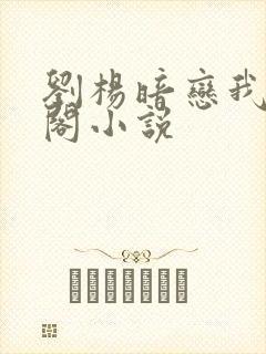 刘杨暗恋我笔趣阁小说