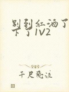 别到红酒了装不下了1V2