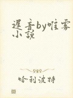 迟音by唯雾的小说封面