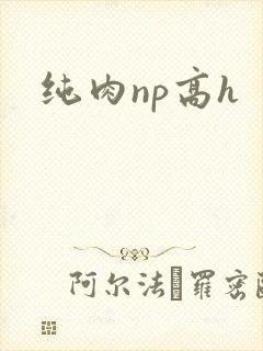 纯肉np高h