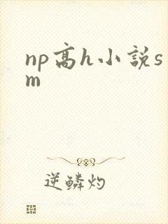np高h小说sm
