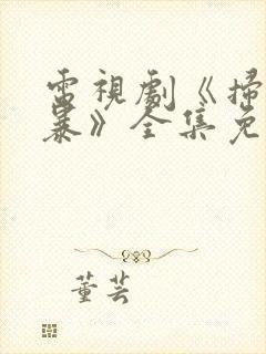 电视剧《扫黑风暴》全集免费观看