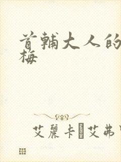 首辅大人的小青梅