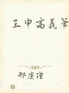 王申高义笔趣阁封面